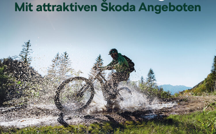  Škoda Frühjahrs-Service Angebot