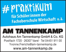 StAnz Praktikum FOS Wirtschaft